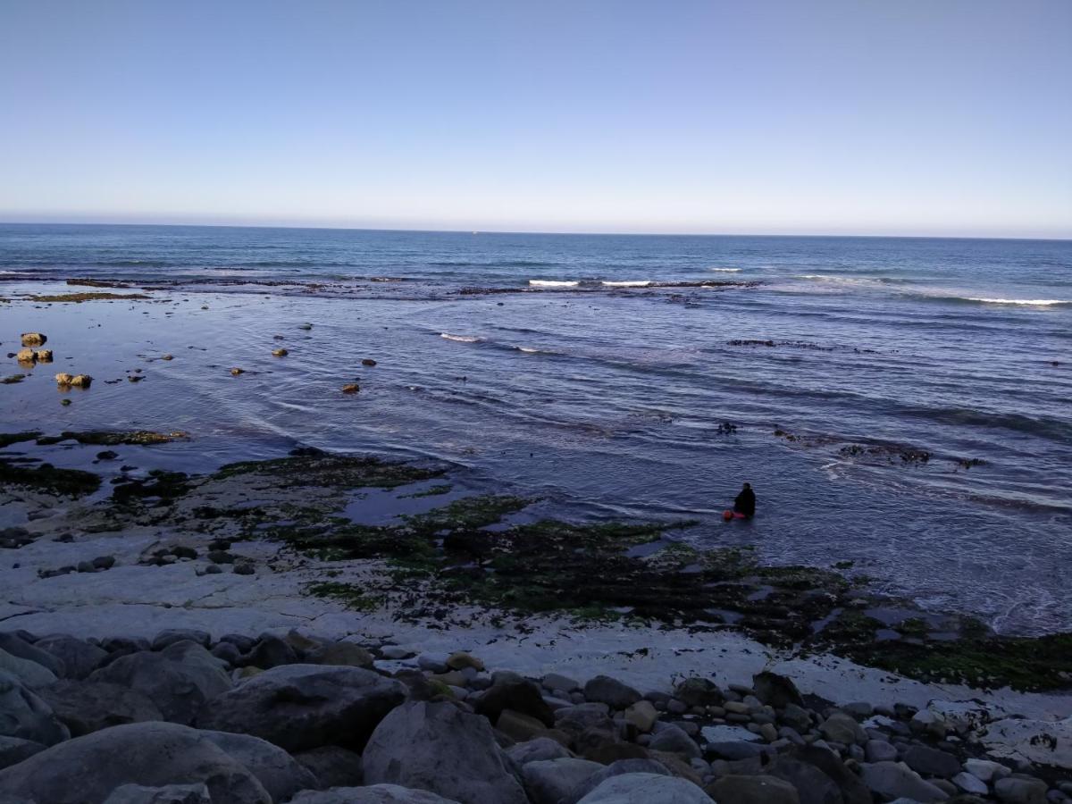 The Lazy Shag Lodge Kaikoura Exterior photo